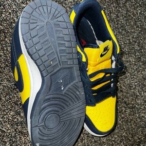Nike Dunk Low michigan